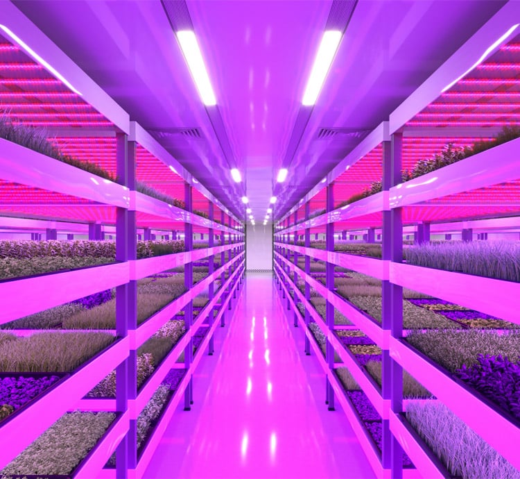 Let’s grow something great together